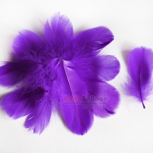 羽毛紫色