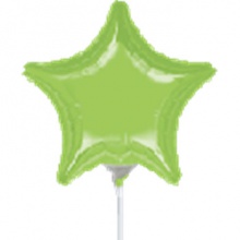 美国Anagram铝箔铝膜光版9寸五角星形苹果绿色