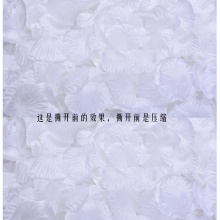 仿真玫瑰白色花瓣1包（内有10小包/约1000片）