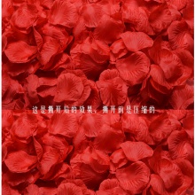 仿真玫瑰红色花瓣1包（内有10小包/约1000片）