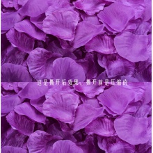 仿真玫瑰紫色花瓣1包（内有10小包/约1000片）